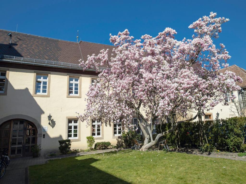 Hotel & Cafe Ritter Von Boehl Deidesheim Dış mekan fotoğraf